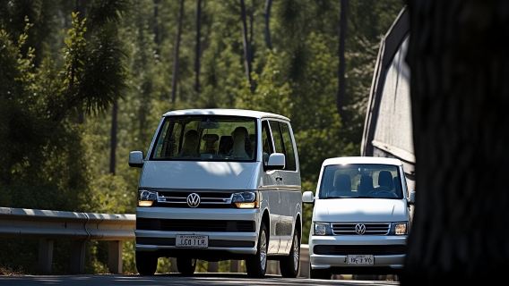 VIP Tour: Panoramas de Gran Canaria  - Full-Day Tour