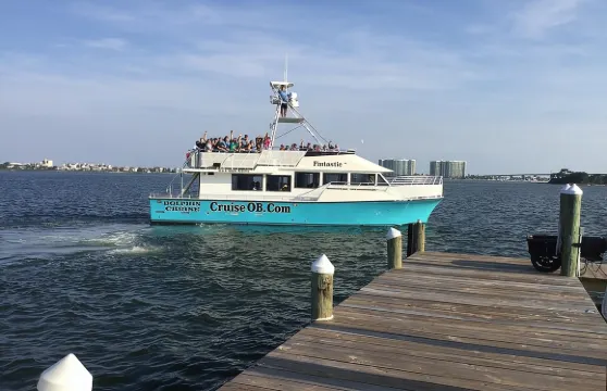 阿拉巴馬州墨西哥灣沿岸海豚巡遊