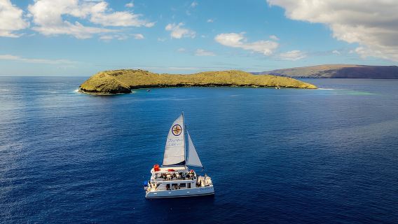 Four Winds Molokini Schnorcheltour ab Maalaea Hafen