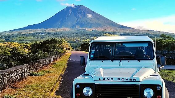Full-Day Guided Tour in Pico Island 