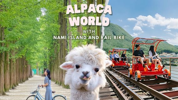 Alpaca World and Nami Island with Gangchon Rail Bike Tour