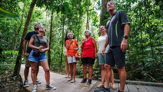 Daintree, Cape Tribulation & River Cruise from Port Douglas