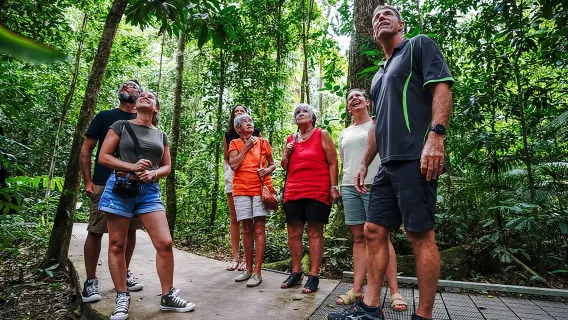 Daintree, Cape Tribulation & River Cruise from Port Douglas