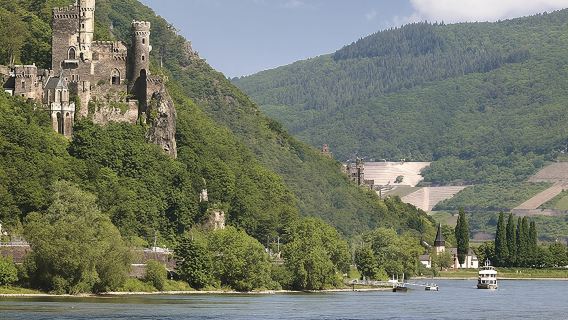 Chuyến đi Thung lũng sông Rhine từ Frankfurt bao gồm Du thuyền trên sông Rhine