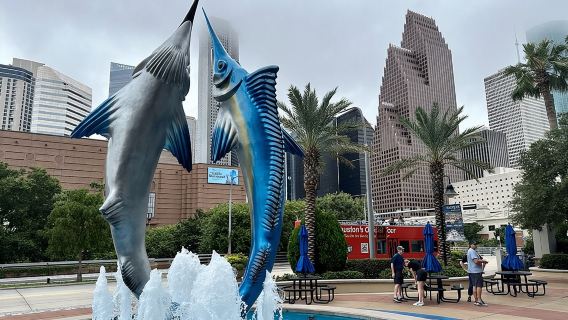 Houston City Tour und Downtown Aquarium All Rides Pass