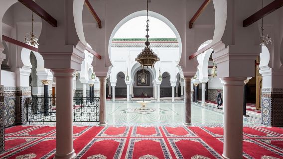 Historia y cultura con un guía grupo privado en la Medina de Fez