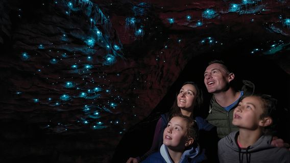 Tour delle grotte delle lucciole di Te Anau