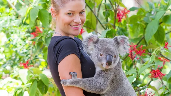 Gold Coast Currumbin Wildlife Sanctuary 1-day tour [optional koala photo op + breakfast/afternoon tea]