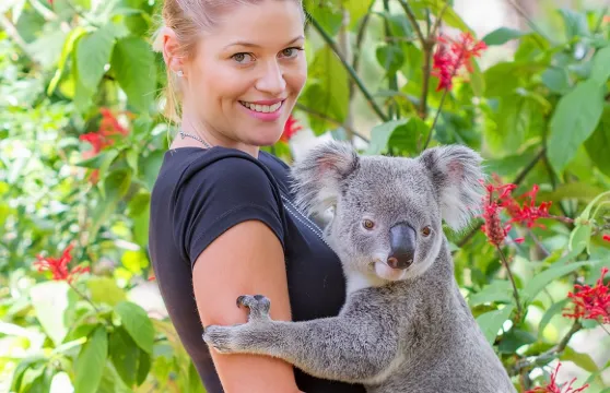 黃金海岸可倫賓動物園＋危險角＋拜倫灣中文一日遊【可選抱樹熊】