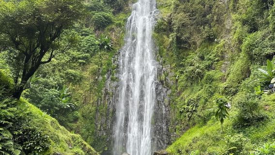 Tour di mezza giornata alla cascata di Materuni e alla piantagione di caffè