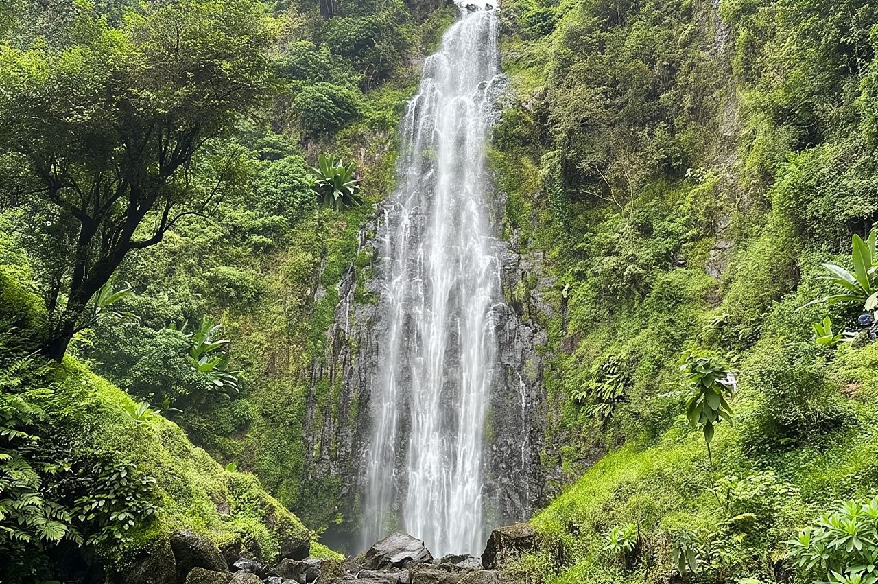 Materuni Waterfall and Coffee Plantation Half Day Tour