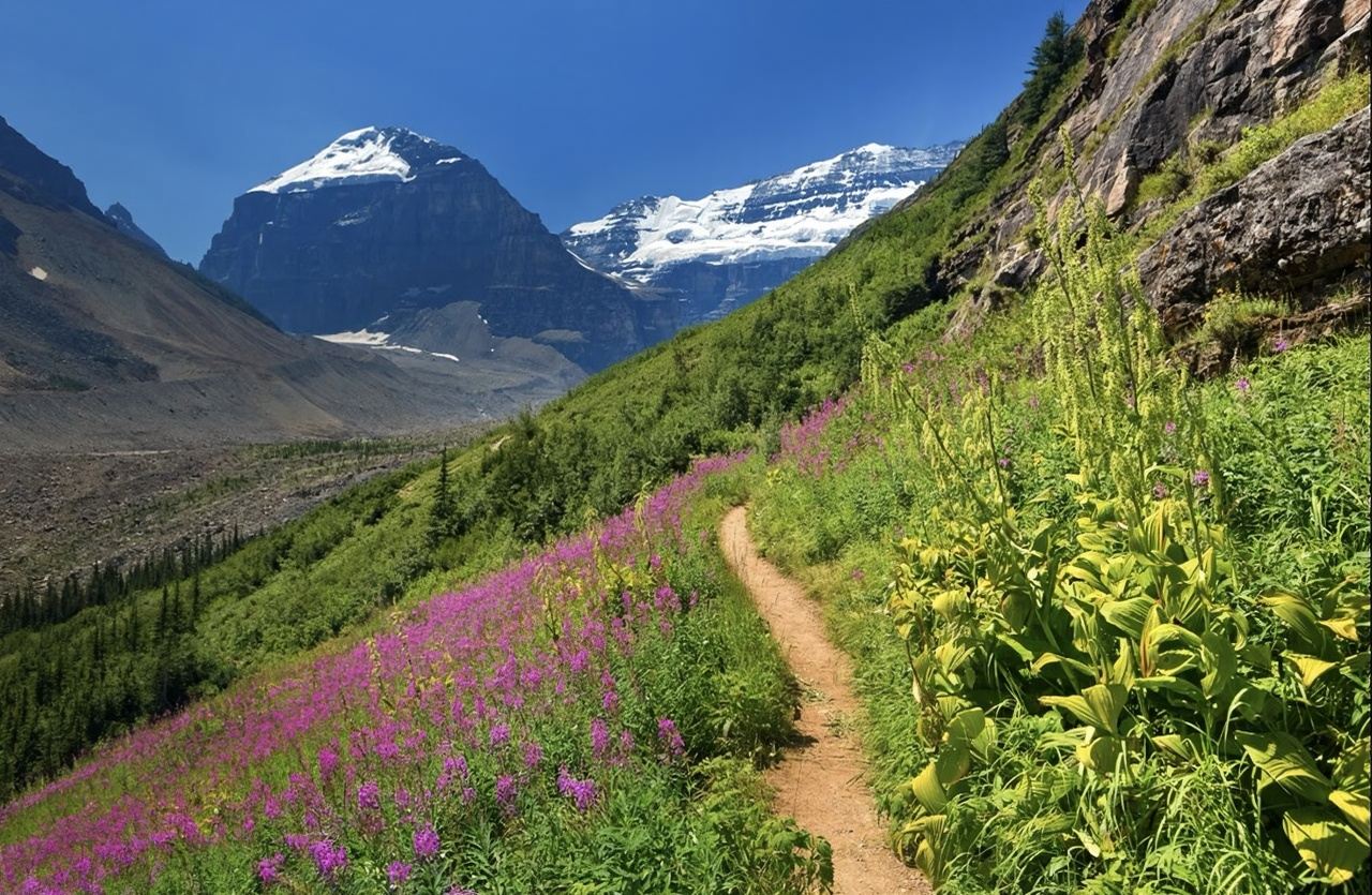 加拿大賈斯珀國家公園&可定制【中文專車-舒適純淨】