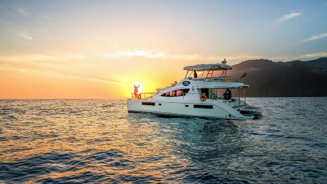 VipDolphins Luxury Whale Watching