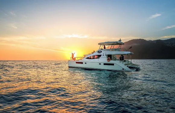 VipDolphins豪華賞鯨之旅