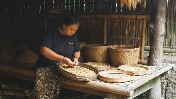 烏布：峇裡島普利納鞦韆和德哥朗梯田之旅