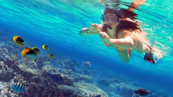 Coron: Coastal Cliffs, Beach & Malcapuya Island Hopping Tour