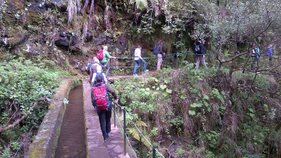 Queimadas Natural Park 5 小時導覽健行