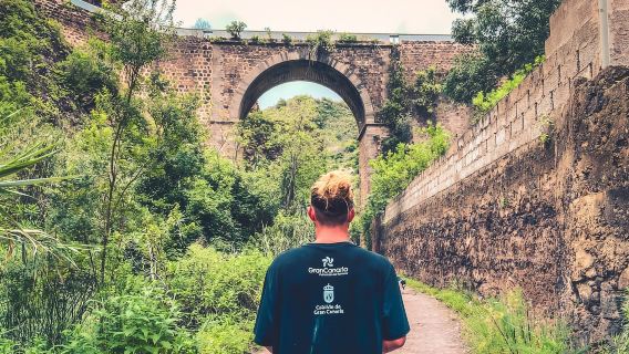 Gran Canaria: Guided Day Tour to Rainforest with Tasting