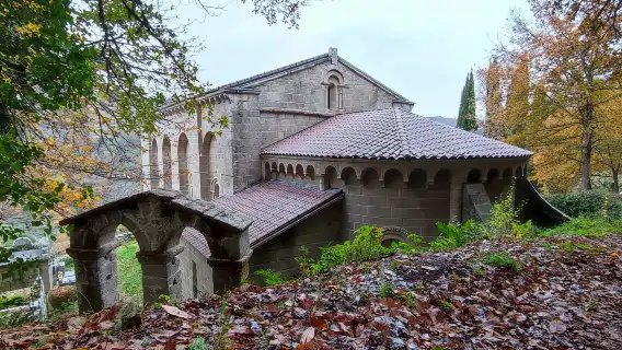 From Santiago: Ribeira Sacra History & Art Trip with Cruise