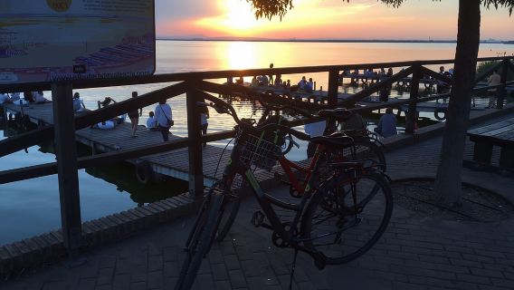 Valencia: Recorrido en bicicleta y barco por el Parque Natural de la Albufera