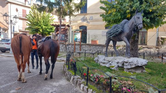 Abruzzo: Avventura giornaliera a cavallo nel Parco Nazionale dei Monti Simbruini