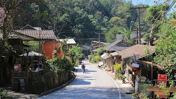 Chiang Mai: Thuê xe minivan có tài xế đến Doi Mae Kam Pong