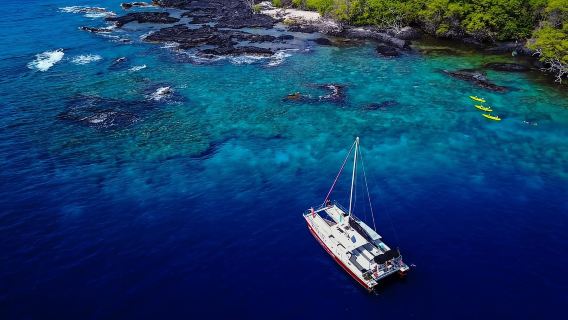 Kailua-Kona: snorkel en la bahía de Kealakekua y navegación con almuerzo