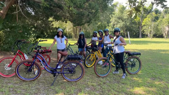 Hilton Head: tour storico e naturalistico in bici elettrica