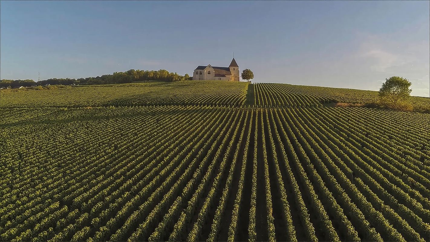 Parigi: gita di un giorno nella regione dello Champagne con guida esperta