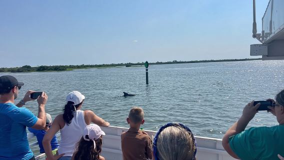 Dolphin and Wildlife Adventure of St. Augustine