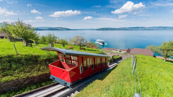 Однодневный тур в Швейцарию — Люцерн и Бюргеншток (из Цюриха с круизом и канатной дорогой)