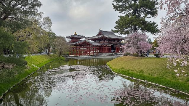 Uji: UNESCO Heritage & Tea Ceremony Walking Tour