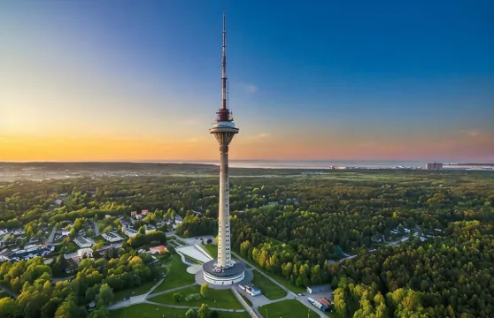 免排隊:塔林電視塔門票