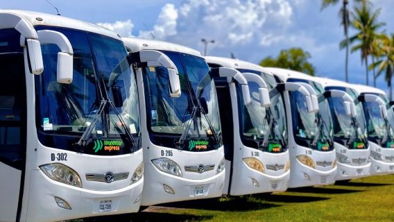 Transfert pour Boracay depuis l'aéroport de Kalibo/Caticlan vers Boracay : Aller simple/Aller-retour