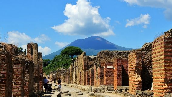 ทริปปอมเปอีและวิสุเวียสแบบไปเช้าเย็นกลับจากเนเปิลส์พร้อมบริการข้ามคิว
