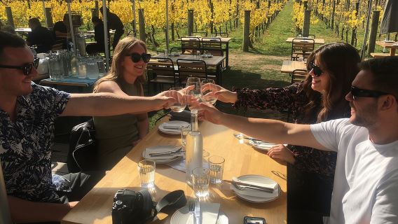 Private Wairarapa Wine Delights Tour from Wellington