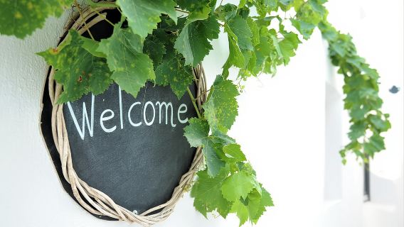 Santorini 3-Winery Tour with 12 Wine Tastings and Oia Sunset