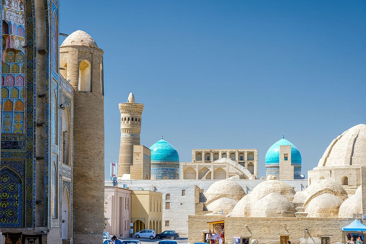Bukhara One Day Tour - Departure From Tashkent