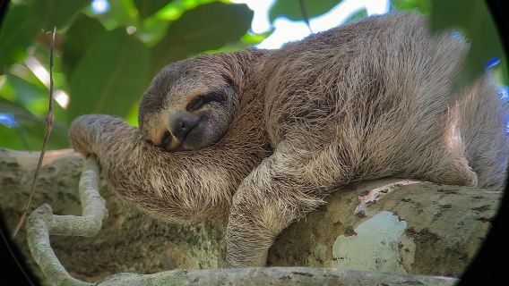 Private Guided Walking Tour in Hacienda Baru