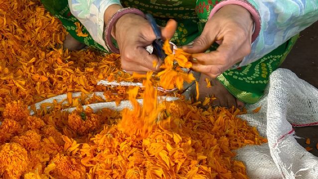 Nikmati Keindahan Pagi Hari dengan Bunga Segar