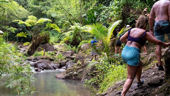 Kembara Hutan Hujan dan Safari Air Terjun