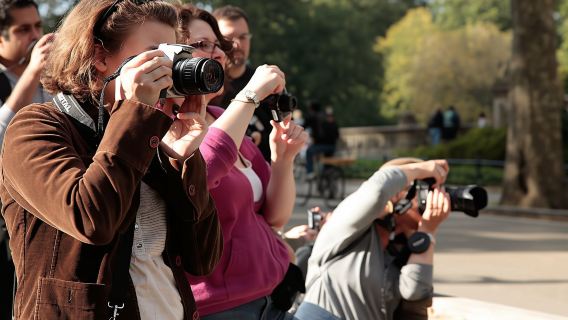 New York: Central Park photo safari