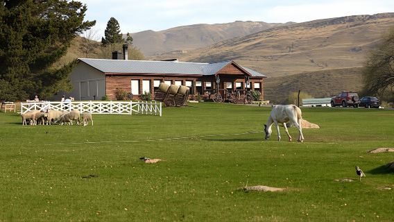 Estancia 25 de Mayo Tour with Dinner and Transfer