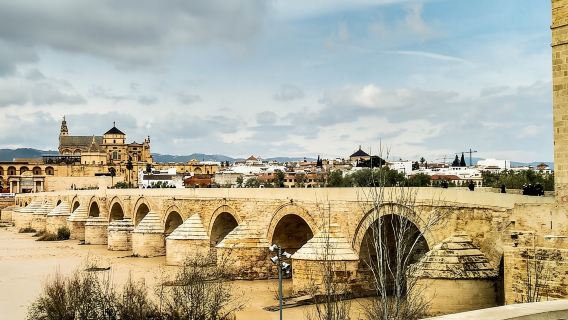 Tour privato a Cordova da Siviglia (diverse opzioni)