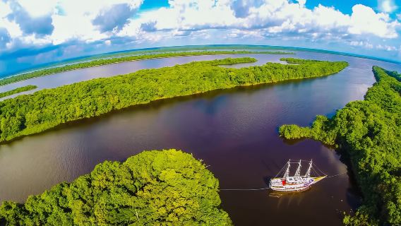 Amazon River one-day tour from Manaus, Brazil (Boat Tour of January Lake + Pink Dolphins + Lunch Included)