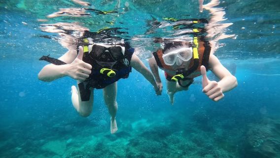 萬寧加井島+石梅灣+石梅灣加井島潛水基地自由潛水浮潛6小時【加井島浮潛一價全包+水上電單車/香蕉船+送拍攝】