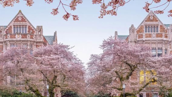 美國西雅圖市區一日遊+可客製多日【普通話專車-舒適純淨】