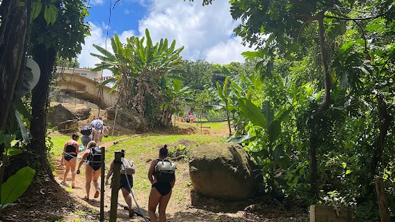 Tur Seluncuran Air dan Air Terjun El Yunque dengan Makanan dan Foto