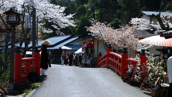 日本東京+伊東+淨蓮瀑布一日遊/行程可調-可訂製多日遊