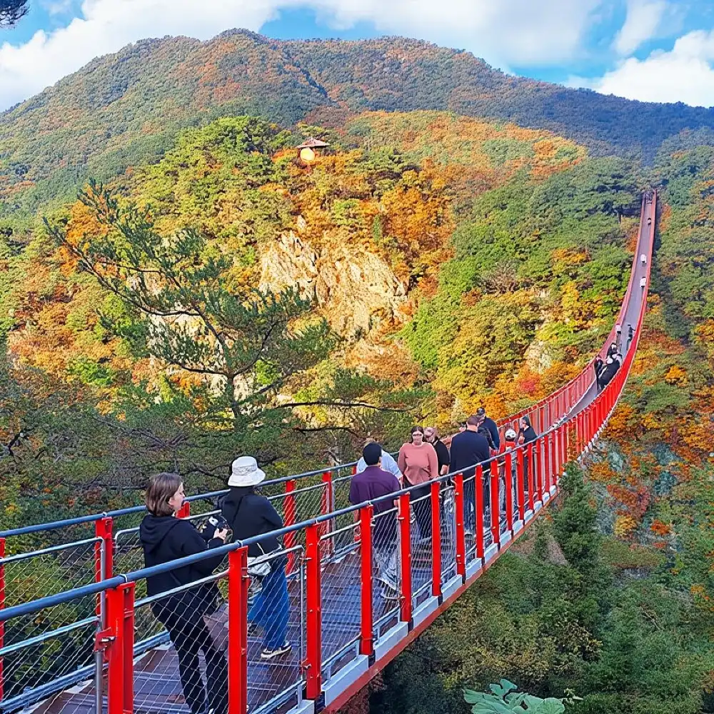 ソウル発 DMZガイドツアー（北朝鮮展望台/ゴンドラ/吊り橋付き